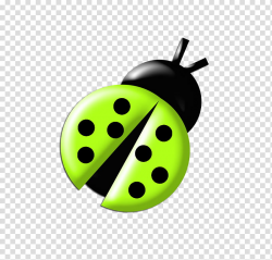 Ladybugs Colours, black and green lady bug transparent ...