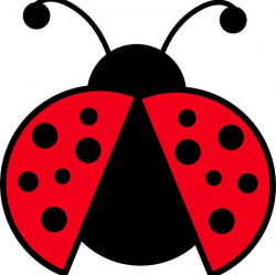 Ladybug Graphic | ladybugs | Ladybug crafts, Clip art, Ladybug