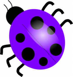 Purple Ladybugs clip art - vector clip art online, royalty ...