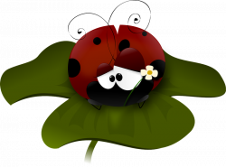Free Animated Ladybug Clipart, Download Free Clip Art, Free Clip Art ...