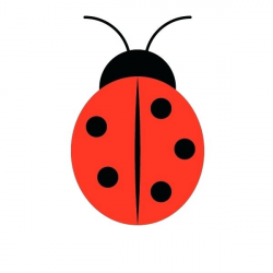 how to draw a simple ladybug – wittyhood.co