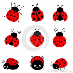 Cartoon Ladybug | Cute colorful ladybugs illustration ...