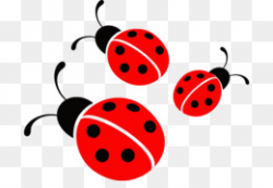 Little Ladybugs PNG & Little Ladybugs Transparent Clipart ...