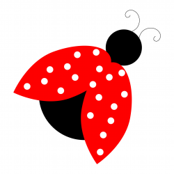 Ladybug Images | Free download best Ladybug Images on ...