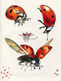 Pin by Birgit Keys on Clip Art Butterflies etc in 2019 ...