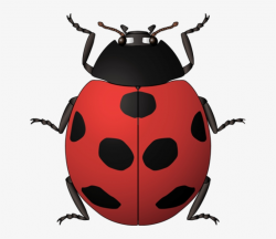 Ladybug Clipart Vintage - Insects Kids Spanish - Free ...