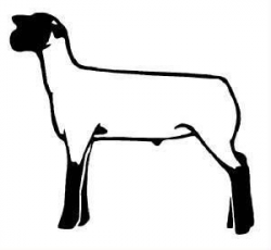 club show lambs clipart | Res Div @ Mont. (Coming soon ...