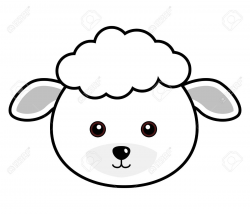 Pin by Sheep on Sheep Faces cute <3 | Sheep face, Cute sheep ...