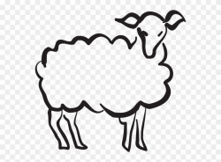 Drawing A Lamb Clipart (#1225008) - PinClipart