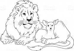 Lion Laying Down Clip Art | Lion Lying Down Clipart lion and ...