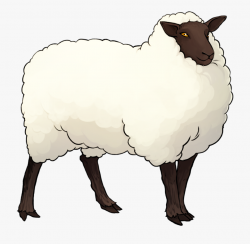Sheep Outline - Sheep #342973 - Free Cliparts on ClipartWiki