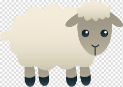 Sheep Lamb and mutton , Cute Sheep transparent background ...