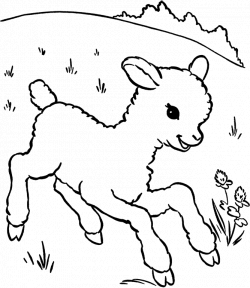 Lamb Outline Drawing at GetDrawings.com | Free for personal use Lamb ...