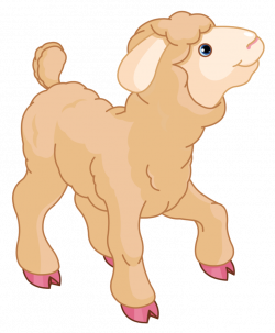 Sheep and lamb clipart clipartfest - WikiClipArt