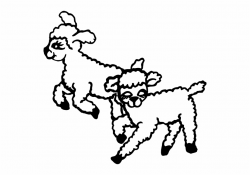 Jumping Lambs Clip Art - Lambs Clipart Black And White ...