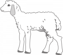 Fluffy Lamb Clip Art at Clker.com - vector clip art online, royalty ...