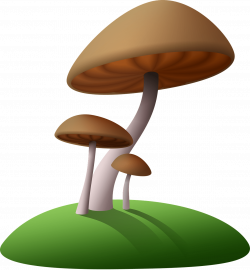 Mushrooms Brown Clipart transparent PNG - StickPNG
