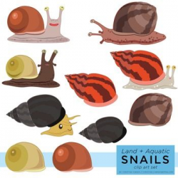 Snails Clip Art Set (Aquatic and Land Snails) | My ...