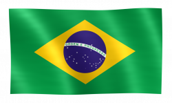 Brazil Flag PNG Image - PurePNG | Free transparent CC0 PNG Image Library