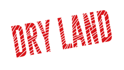 Dry Land | NU Arts Alliance