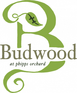 Budwood — Budwood at Phipps Orchards