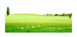 Graphic Stock Land Grassland For Free Download On - Grass ...