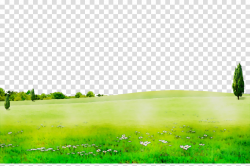 Green Grass Background clipart - Green, Nature, Sky ...