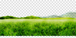 Green Grass Background clipart - Nature, Green, Grass ...
