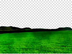 Green Grass Background clipart - Green, Nature, Grass ...