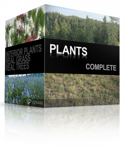 PLANTS Complete - 3D models of grass, shrubs, trees and flowers