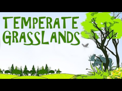 Lands | A Visit To The Grasslands With The Kids | Temperate Grasslands |  Part - 2 Animated