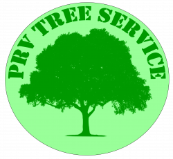 Hedge Trimming Service | PRV Tree Service