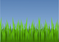 Grass Landscape Wallpaper PNG Image - Picpng