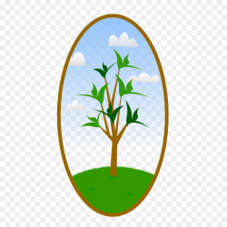 Landscape Landscaping Tree Clip art - Beach Scene Clipart png ...