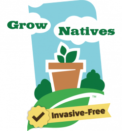 STOP Invasive Plants | Eco Logic LLC
