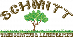 Schmitt Tree Service And Landscaping – Professional Tree Removal And ...