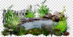 Pond Cartoon clipart - Grass, Botany, Rock, transparent clip art