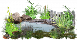 Pond Cartoon clipart - Garden, Plant, Grass, transparent ...