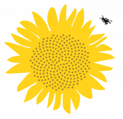 Helianthus | Environmentally Sustainable Landscapes |
