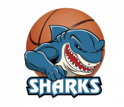 The Vegas Sharks Vegas Sharks - ScoreStream