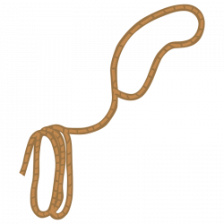 Lasso Rope Cliparts Free Download Clip Art - carwad.net