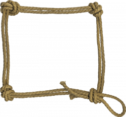 28+ Collection of Rope Clipart Transparent | High quality, free ...