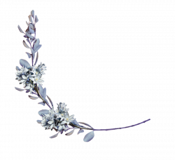 hyacinths with a laurel branch png by Amalus on DeviantArt | Ink ...