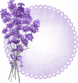 Floral vintage background with lavender (1) [преобразованный].png ...
