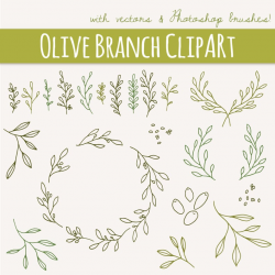 Olive Branches & Sprigs Clip Art // Photoshop Brushes Hand Drawn //  Mediterranean Shrub Foliage Herb // Vector PNG files // Commercial Use