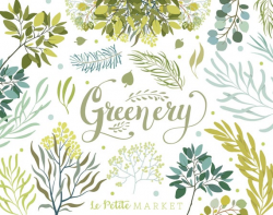 Spring Greenery Clipart Images, Green Plants Florals Flowers Clip Art  Illustration Graphics, Laurels Swag, Spring Wreaths Embellishments