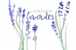 Watercolor Lavender Clip Art ~ Illustrations ~ Creative Market