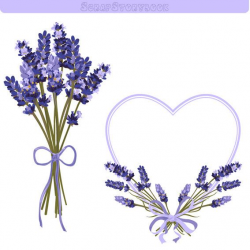 Lavender Flower Frame and Clipart - 300 dpi PNG printable lavender ...