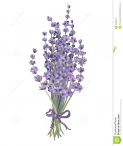 Lavender Bouquet Clipart