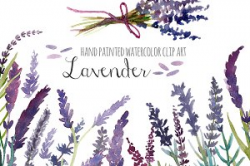 Lavender watercolor clip art ~ Illustrations ~ Creative Market